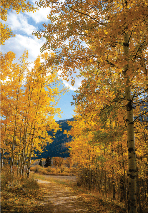 Scenic Escalade Tours